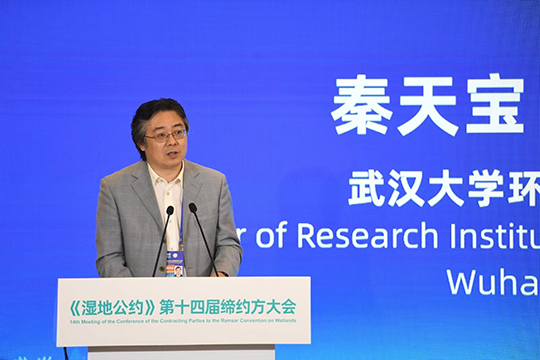自然资源保护协会